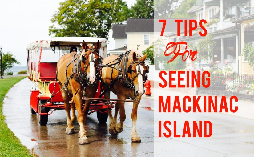 Mackinac Is For (Horse) Lovers