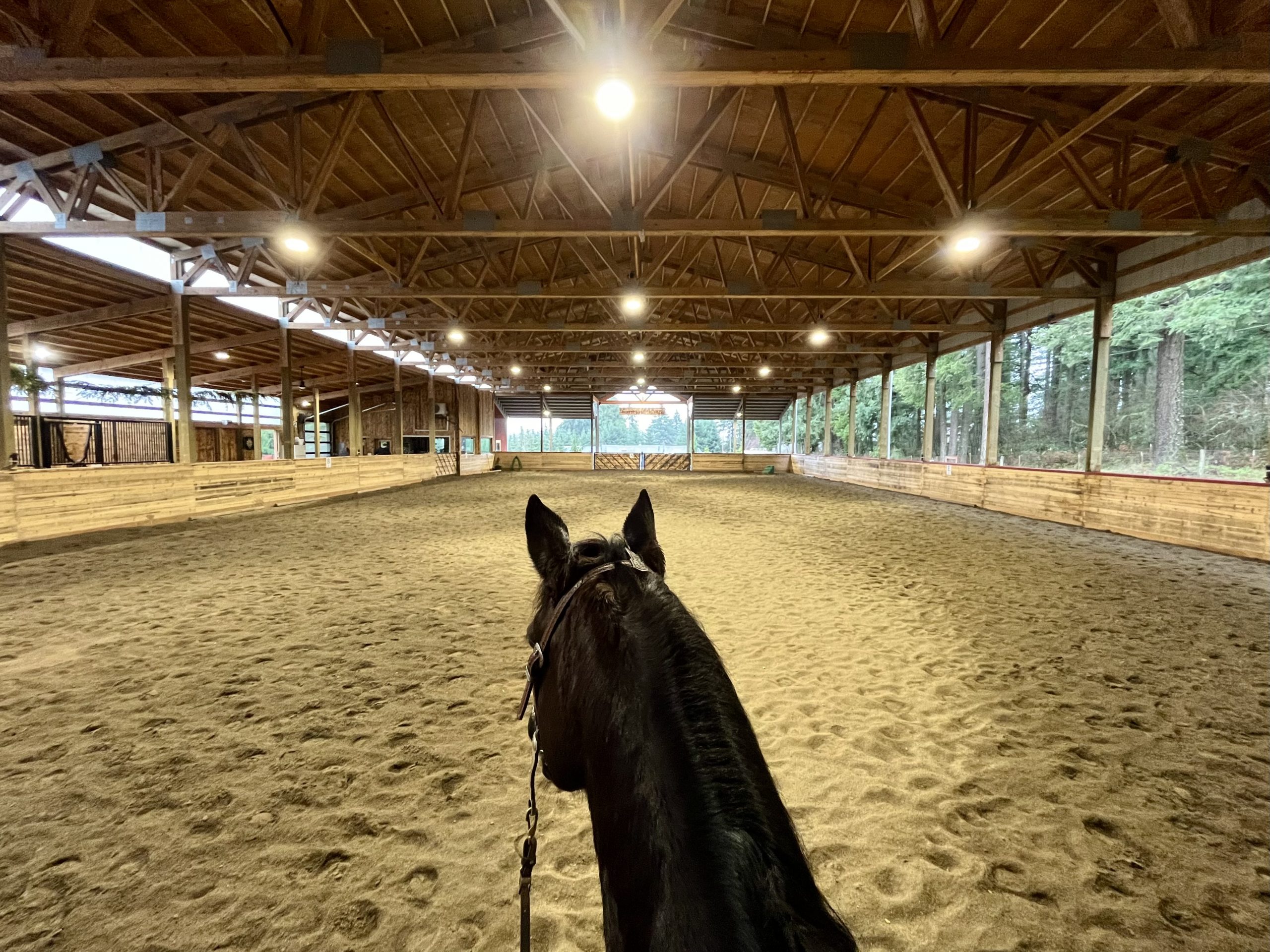 5 Tips to Find a Boarding Barn